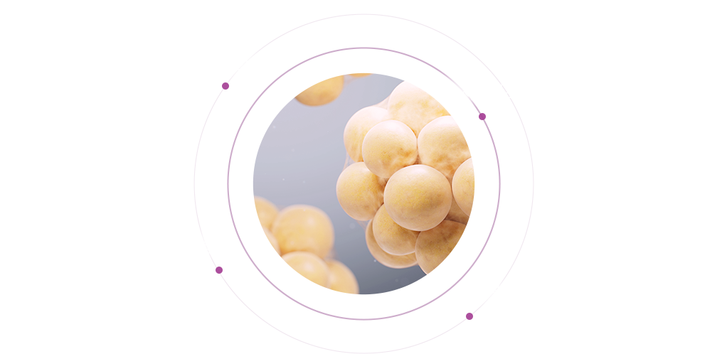 sc301의원 비수술지방분해 효과 이미지