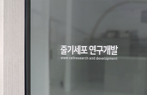 SVF 얼굴흉터의 특별함 세번째 이미지